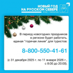 В период новогодних праздников будет работать единая "горячая линия" для туристов.
