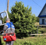 Социальная догазификация в Вологодской области: коротко о главном. - Чагодощенский муниципальный округ