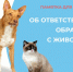 Памятка для владельцев кошек и собак. - Чагодощенский муниципальный округ