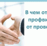 Профилактический визит проводится в форме профилактической беседы по месту осуществления деятельности контролируемого лица либо путем использования видео-конференц-связи или мобильного приложения "Инспектор". - Чагодощенский муниципальный округ